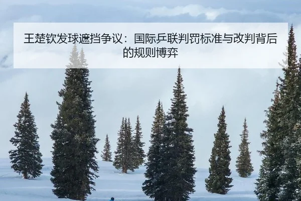 wang-chu-qin-fa-qiu-zhe-dang-zheng-yi-guo-ji-ping-lian-pan-fa-biao-zhun-yu-gai-pan-bei-hou-de-gui-ze-bo-yi-2-425.jpg