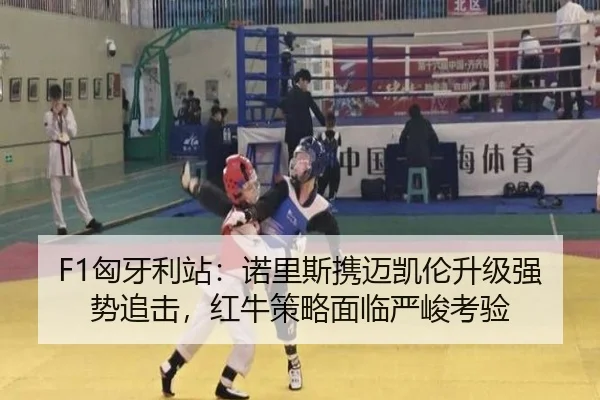 F1匈牙利站：诺里斯携迈凯伦升级强势追击，红牛策略面临严峻考验
