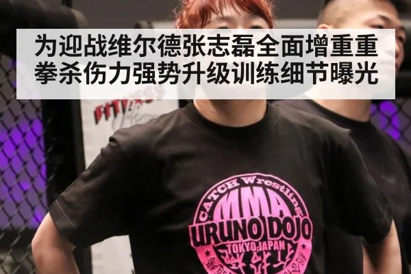 为迎战维尔德张志磊全面增重重拳杀伤力强势升级训练细节曝光